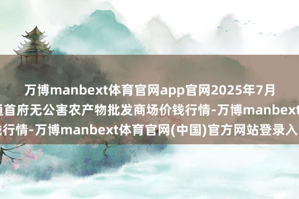 万博manbext体育官网app官网2025年7月16日呼和浩特市好意思通首府无公害农产物批发商场价钱行情-万博manbext体育官网(中国)官方网站登录入口