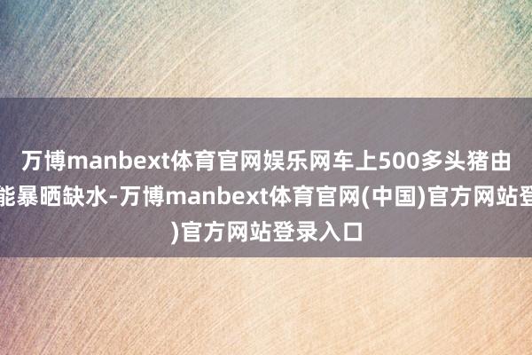万博manbext体育官网娱乐网车上500多头猪由于长技能暴晒缺水-万博manbext体育官网(中国)官方网站登录入口